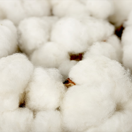 regenerative-cotton