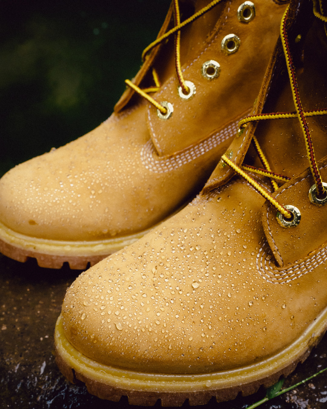 黃靴特寫照2
