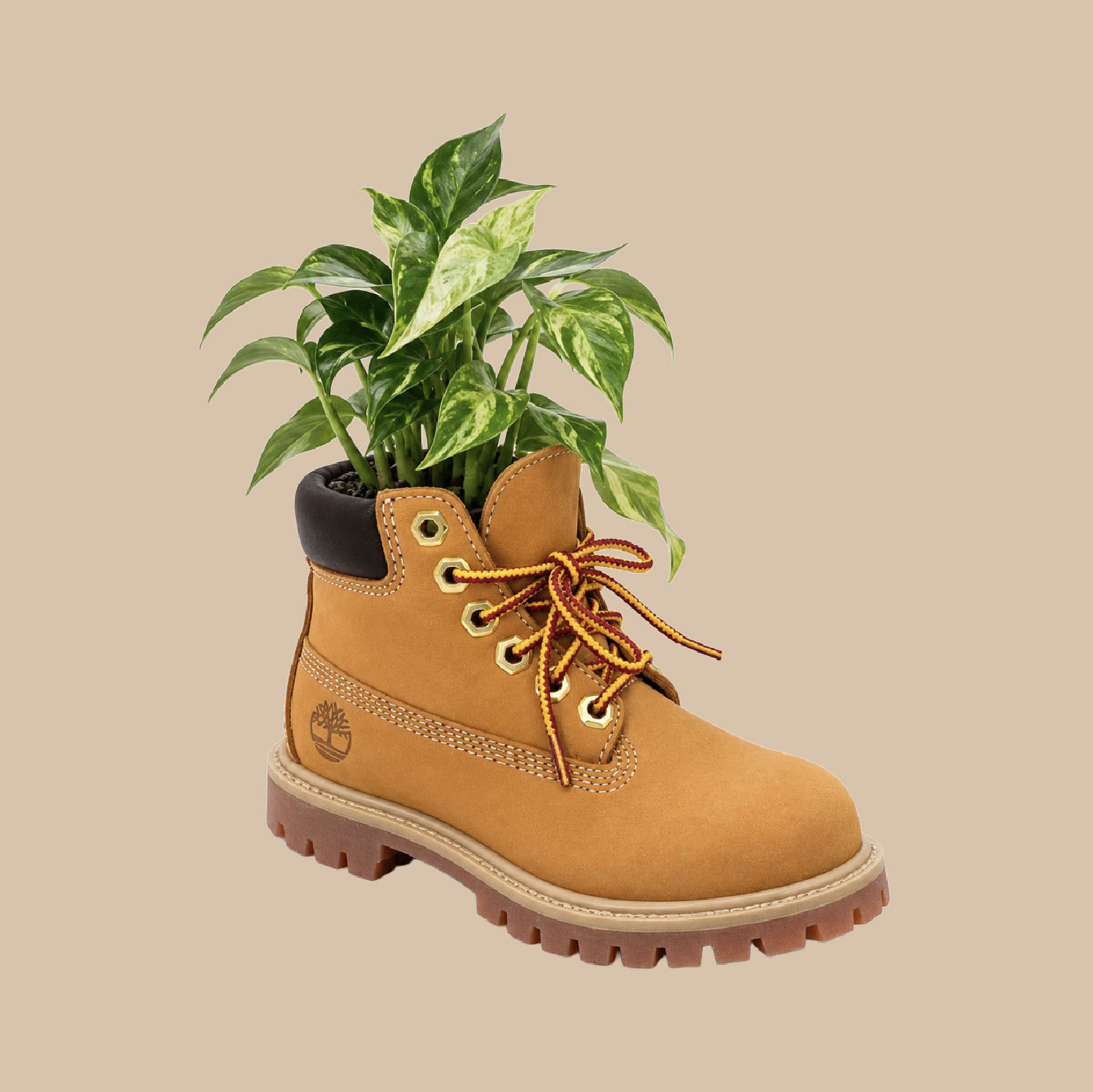 Timberland開幕滿額贈 小黃靴盆栽
